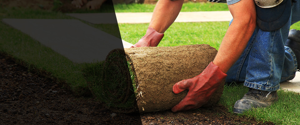 Eau Claire Landscapers